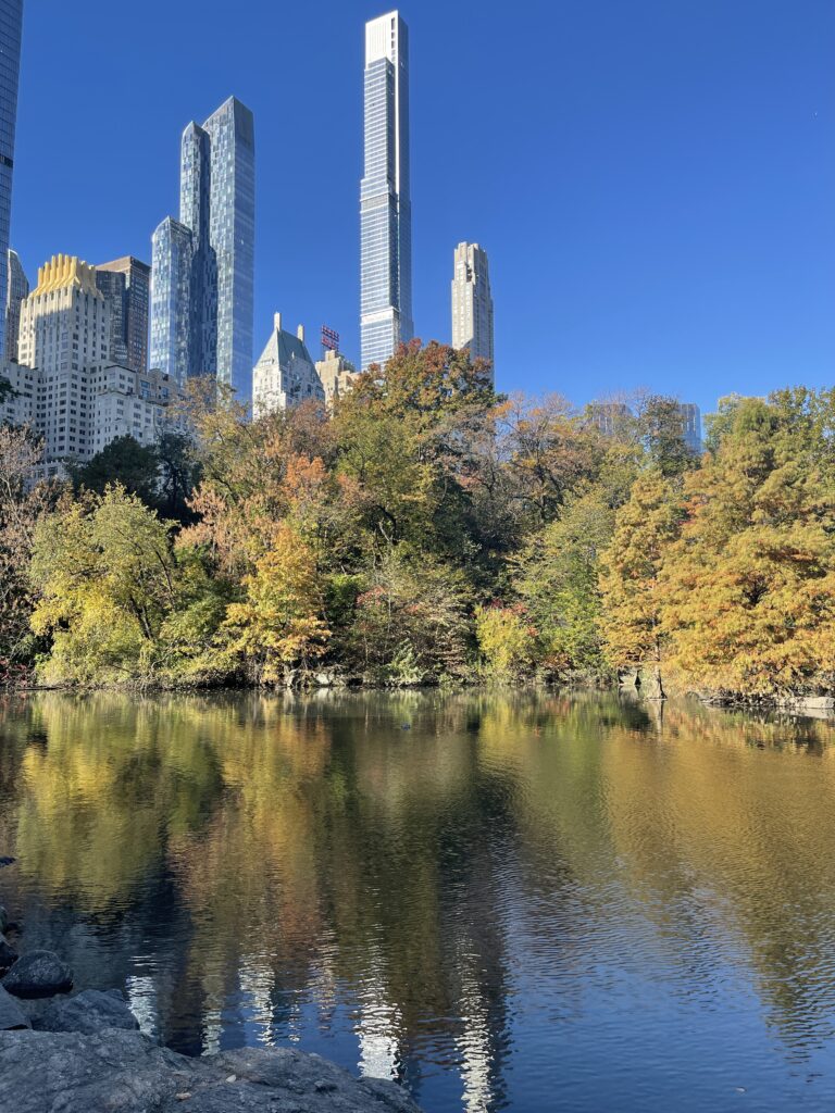 iPhone travel photo of New York skyscrapers reflecting in the pond at Central Park in New York City