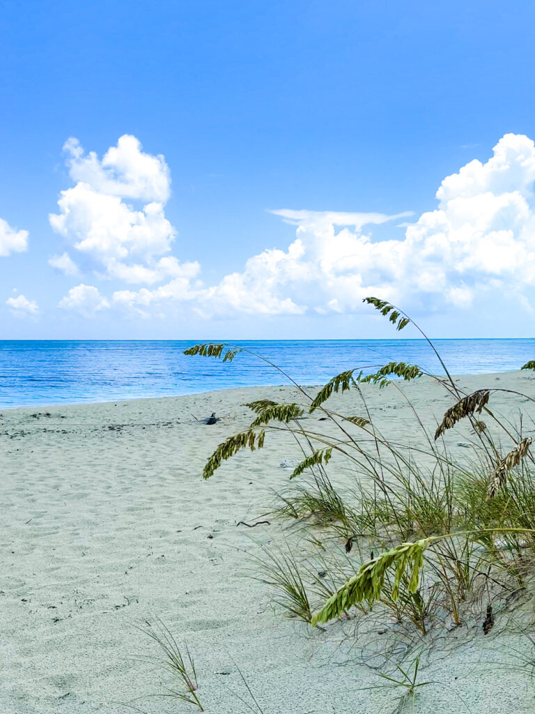 iPhone travel photo of beach and ocean at Iguana Island TCI